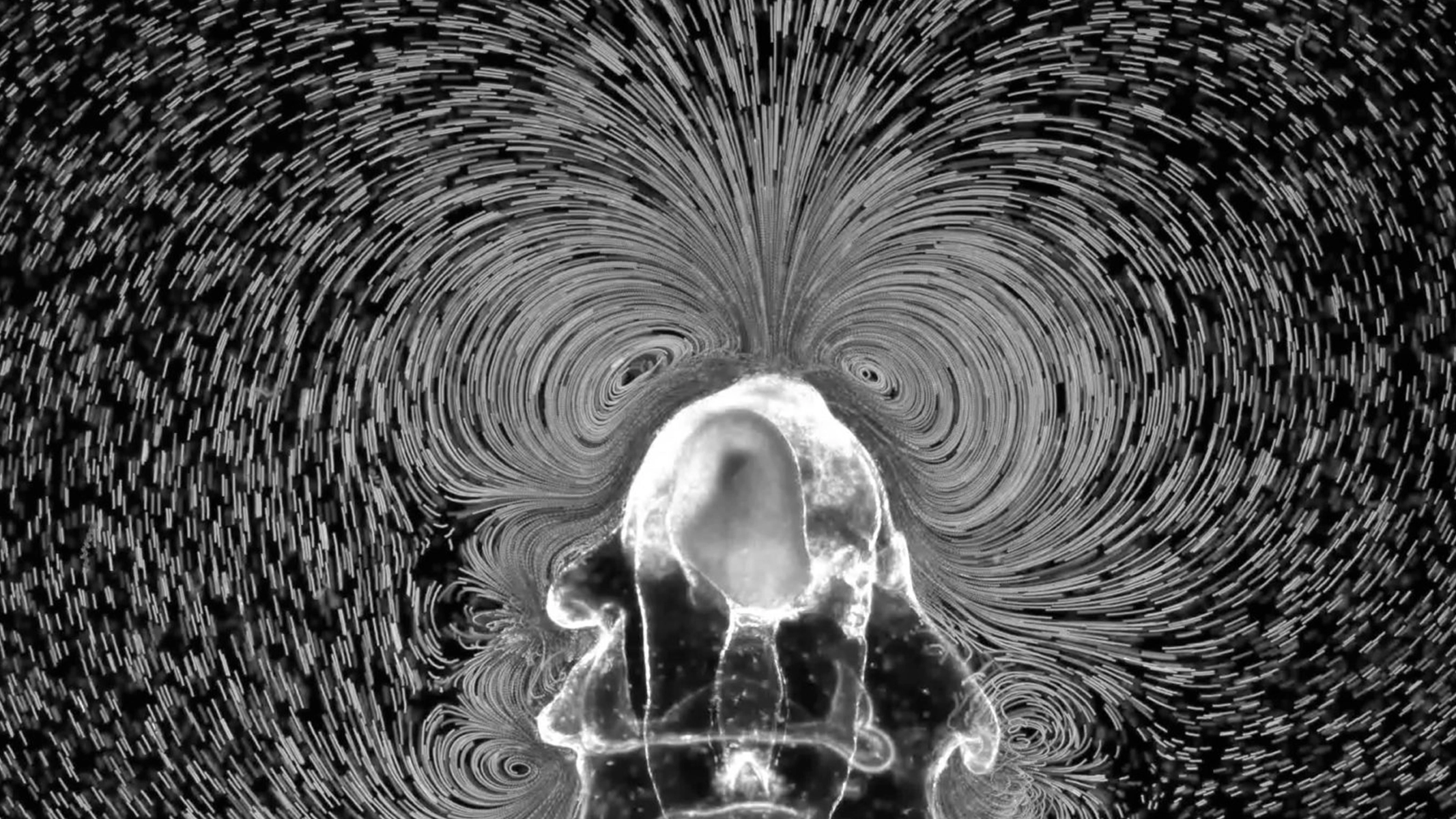 Arte fractal: Dinámicas de fluidos